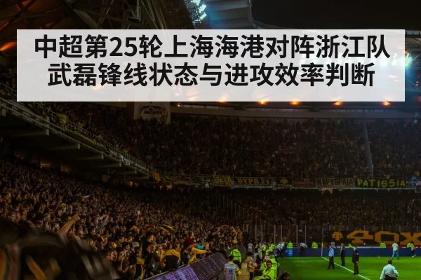 soccer stadium crowd night
