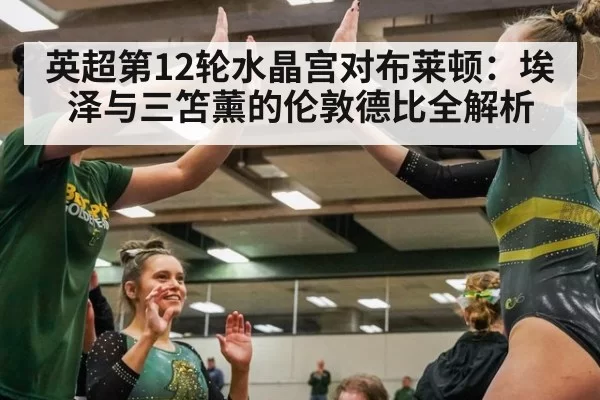 英超第12轮水晶宫对布莱顿：埃泽与三笘薰的伦敦德比全解析